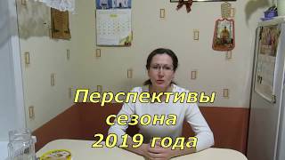 Перспективы сезона  2019 года