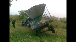 Пасека Случай на кочевке А могло быть и хуже