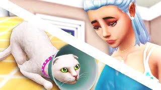 SHE'S GONE... // The Sims 4: Cats & Dogs #4