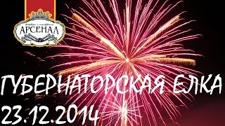 Губернаторская елка 2014 г. Хабаровск | Студия "Пироэффект"