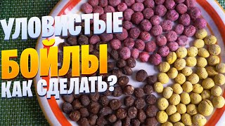 Самая уловистая приманка для рыбалки карася и карпа. Бойлы в домашних условиях.