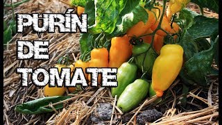 EL MEJOR BIO PREPARADO PARA TUS PLANTAS ?? || La Horteta De Bussy