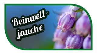 Tomaten Gemüse erfolgreich düngen ? Beinwelljauche herstellen, ansetzen ? Biodünger für Gemüse  ?
