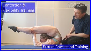 53 Flexyart Contortion Training: Cheststand Forearm  - Also for Yoga, Pole, Ballet, Dance People