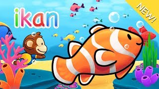 Lagu Anak Indonesia | Ikan