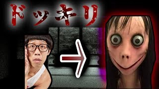 【神回】«ひょっこりはんのBGMに合わせてMOMOが出てきたら誰でも叫ぶ説»