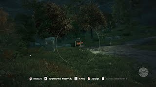 Где найти свинью в far cry 4