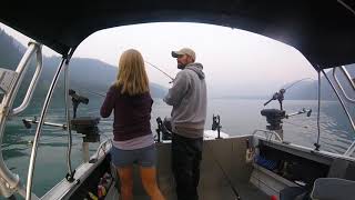 Baker Lake Sockeye 2017