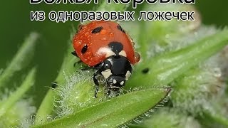 Божья коровка своими руками