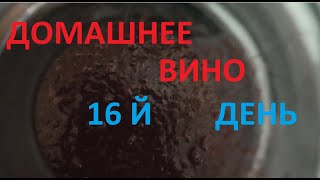 Бродит сусло, а мы туда САХАРА