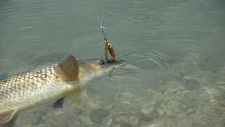 lake spinning for barbel C&R in Greece