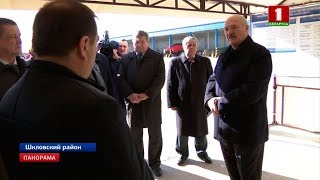 Президент Беларуси поставил задачу - активно генерировать идеи в сельском хозяйстве. Панорама