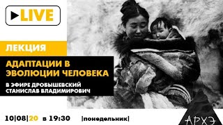 Онлайн-лекция Станислава Дробышевского "Адаптации в эволюции человека"