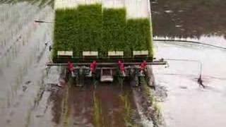 KUBOTA tactor and rice planting machine　