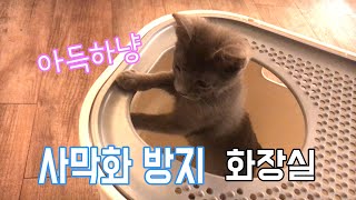 【구레 & 나루】 고양이 사막화 방지 화장실!! 이제 걱정 없어요