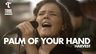 Palm of Your Hand (feat. Harvest) | TRIBL Music