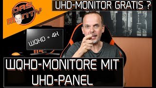 UHD-MONITOR FAST UMSONST ? - WQHD-Monitore mit 4K-Panel im Umlauf | DasMonty