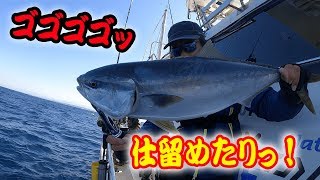 青物仕留めたりっ！福井県三国沖ジギング