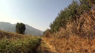 Turtle Dove Hunting ΚΥΝΗΓΙ ΤΡΥΓΟΝΙΟΥ 2013-14