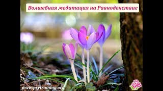 Волшебная Медитация на Весеннее Равноденствие