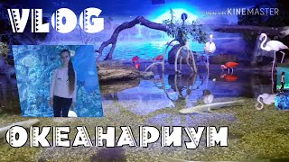 VLOG! ?Океанариум/парк Зарядьево?