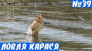 Ловля Карася в Заросшем Пруду на Удочку. Карась на поплавок Весной