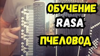 Обучение Rasa - Ты Пчела я Пчеловод На Баяне | Урок для Новичка | tutorial accordion
