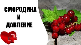 Как влияет на давление смородина?