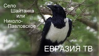 Шайтанский праздник