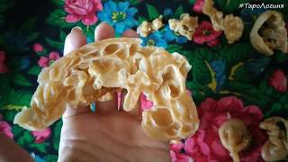 Отливка воском ♦ Родовая порча родовое проклятие ♦ Зародыш / купол / семья ♦ TaroLoginya