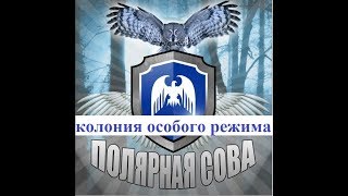 Полярная Сова