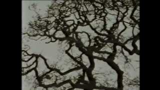 T E Lawrence and Arabia. BBC documentary pt 7 of 7