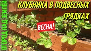 КЛУБНИКА В ПОДВЕСНЫХ ГРЯДКАХ/ВЕСНА-2018.КЛУБНИКА.
