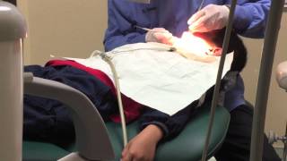 7 year old dental examination