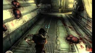 Прохождение Collapse Часть 5