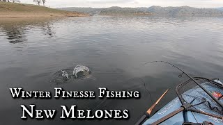 New Melones Winter Finesse Fishing