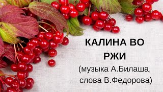 КАЛИНА ВО РЖИ муз. А. Билаш, сл. В.Фёдоров. ЗАТЕЯ сольное народное пение.