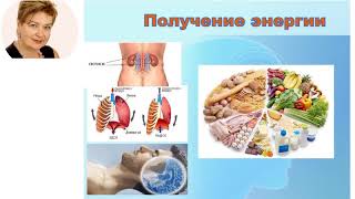 ШКОЛА ПРО ПРОДУКТ  ЛЮДМИЛА АМЕЛИНА 19 11 2019