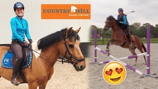 Nieuw springzadel voor Marley & springen met Leo! | VLOG #97 felinehoi