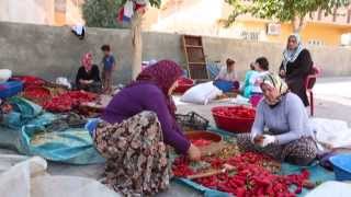 JİYAN_İSOT
