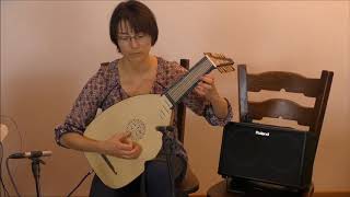 8 course renaissance lute with piezo pick ups for sale at info@luteduo.com