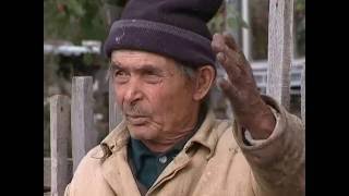 Фильмы режиссера Александра Кибкало. "Поэтика развала"