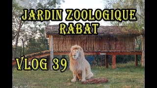 VLOG 39 : جولة في حديقة الحيونات بالرباط رفقة إبني / Jardin zoologique RABAT