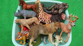 Animal de plástico para crianças - Nome e sons de animais para educação infantil