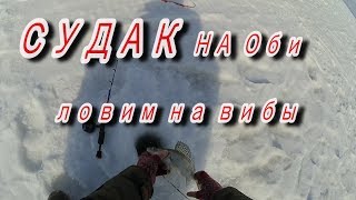СУДАК НА РАТТЛИНЫ. Зимняя рыбалка со льда