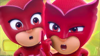 Pyjamasque Français ❤️Deux Bibou ❤️HD | Dessin Animé