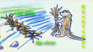Lezgi Proverbs - Wisdom and Folly