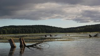 Река Кутамыш, Пермский край.
