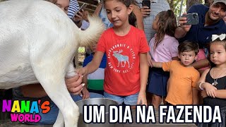 Brincando com os animais