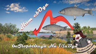 Русская Рыбалка 4. Ахтуба - Трофей Белорыбица / Неплохо помотало )